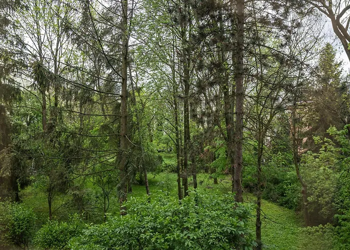 Apartament Parkowy Ul. Raclawicka