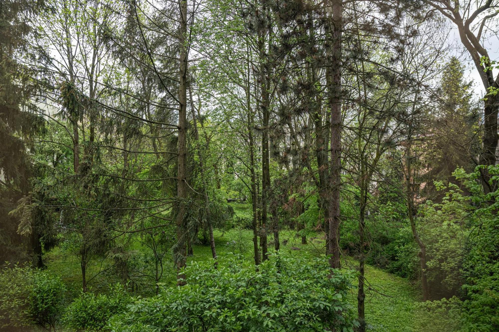 Apartmán Parkowy Ul. Raclawicka *